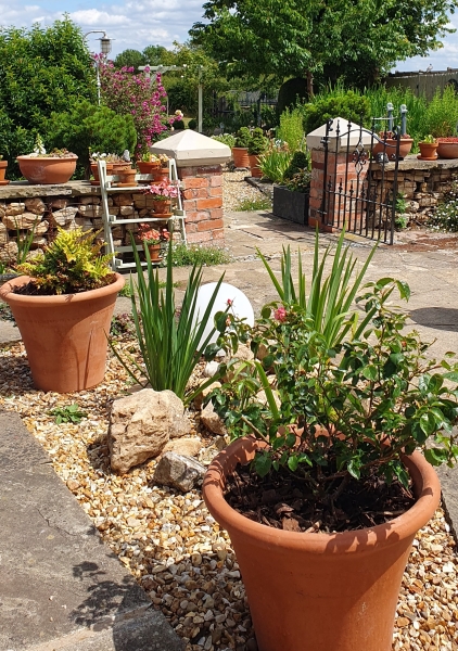 The Barn Chalico Farm